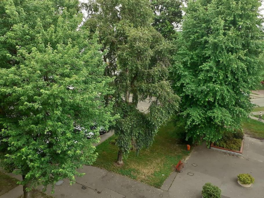 Kawalerka Stare Bielany * Warsaw